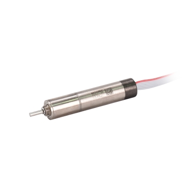 DCU10025系列有刷空心杯電機-1 DCU10025系列有刷空心杯電機-1